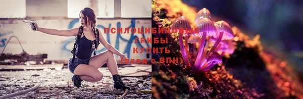 ГАЛЛЮЦИНОГЕННЫЕ ГРИБЫ Алексин