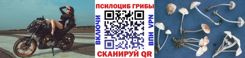 Галлюциногенные грибы ЛСД площадка наркотические препараты Ейск